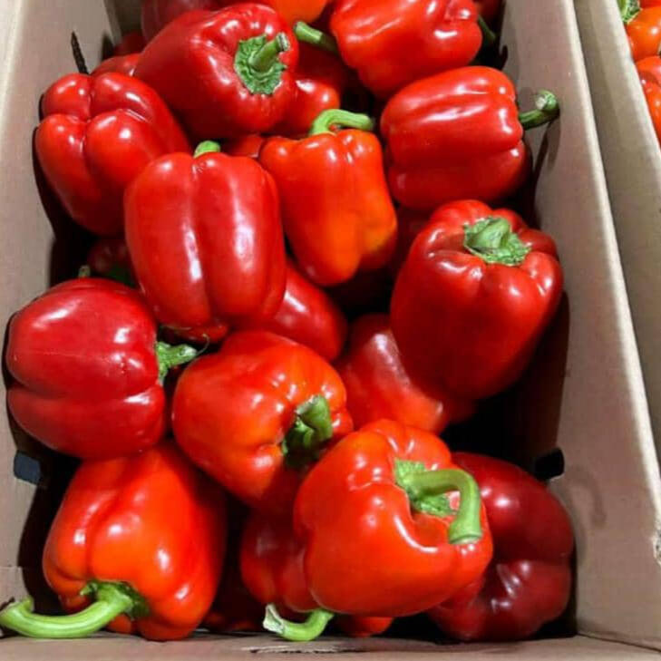 Chunky Agrolinks, a leading agri-business revolutionizing the agricultural industry.