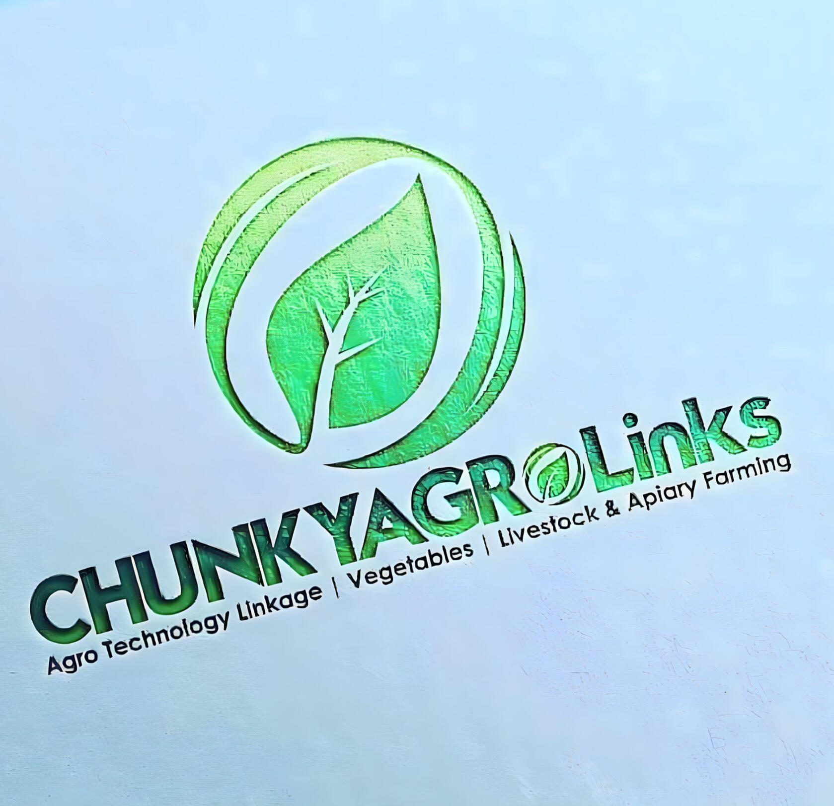 Chunky Agrolinks, a leading agri-business revolutionizing the agricultural industry.