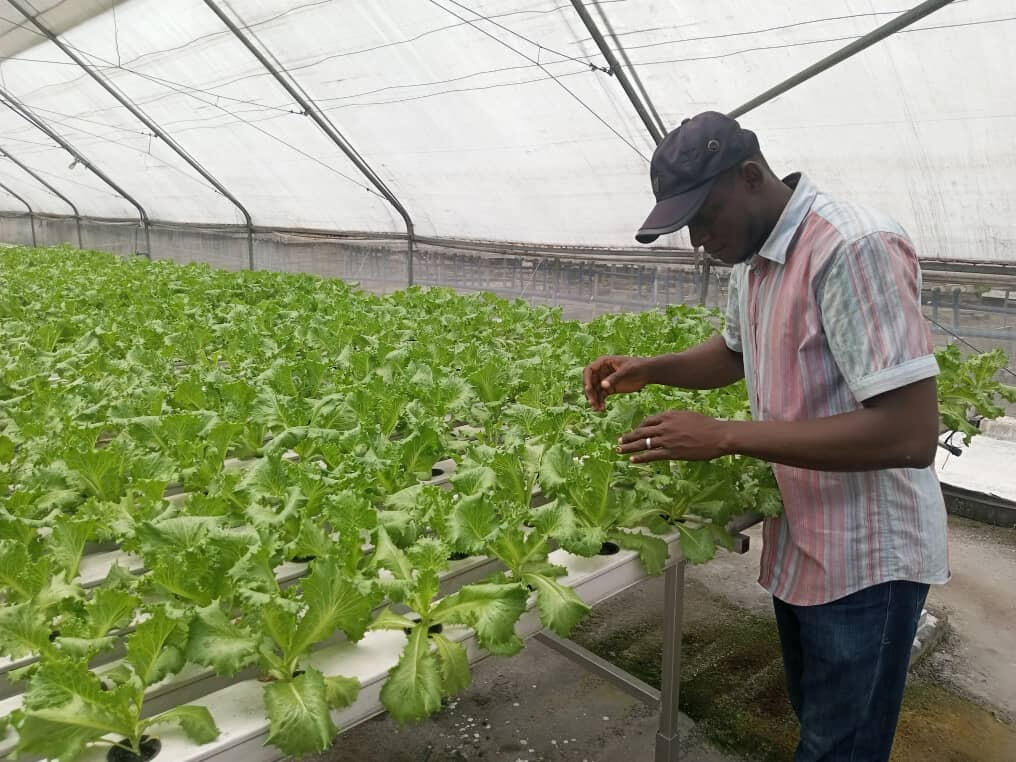 Chunky Agrolinks, a leading agri-business revolutionizing the agricultural industry.
